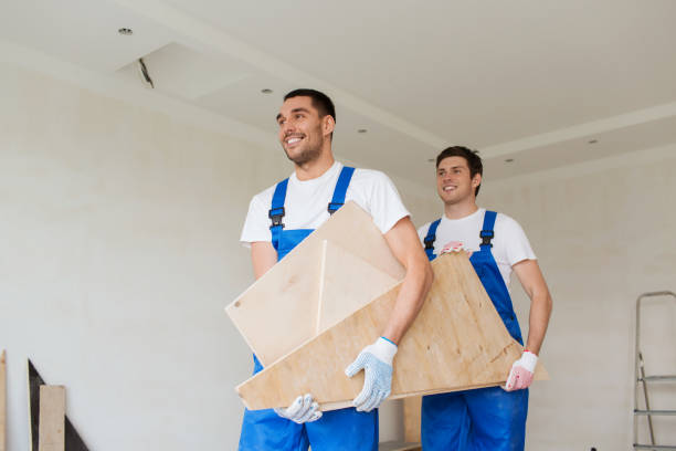 Best Shed Removal  in Solon, IA